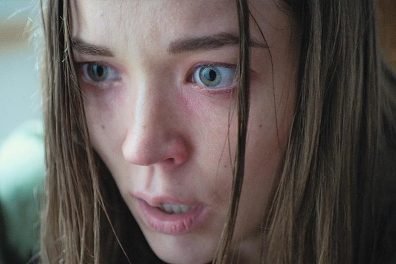 マッド・ハウス : 作品情報・キャスト・あらすじ・動画