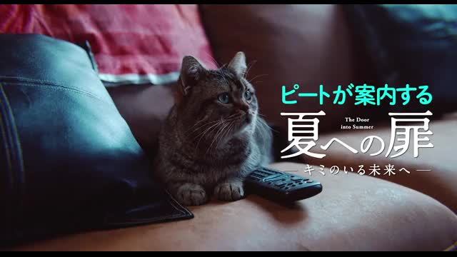スペシャル映像：ピート（猫）案内編