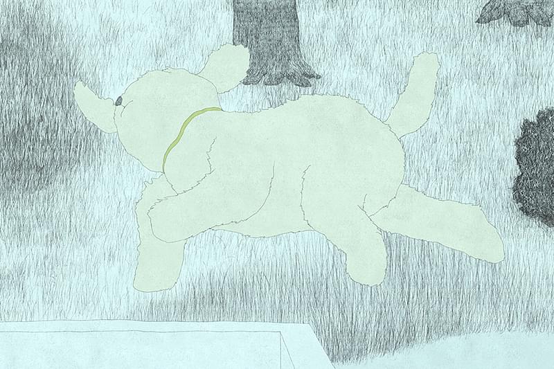 私の沼 : 作品情報・声優・キャスト・あらすじ