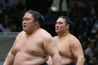 相撲道　サムライを継ぐ者たち
