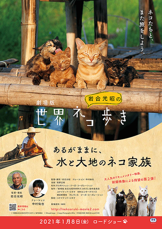 劇場版 岩合光昭の世界ネコ歩き あるがままに 水と大地のネコ家族 作品情報 映画 Com