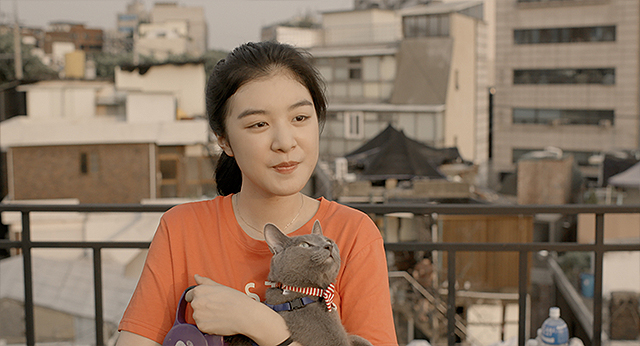 キム・ソヒの「私と猫のサランヘヨ」の画像