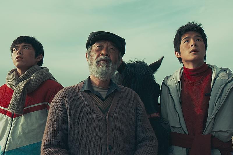 愛しの母国 : 作品情報・キャスト・あらすじ・動画
