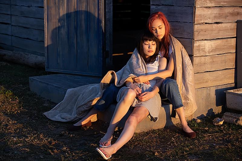 彼女 : 作品情報・キャスト・あらすじ