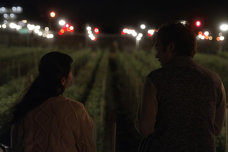 こんな、菊灯りの夜に : 作品情報・キャスト・あらすじ