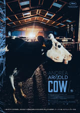 COW 牛