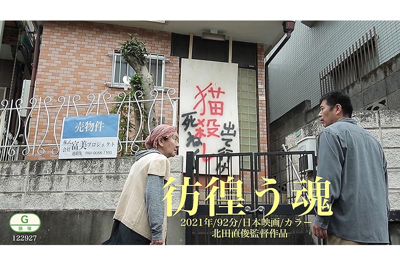 彷徨う魂 : 作品情報・キャスト・あらすじ