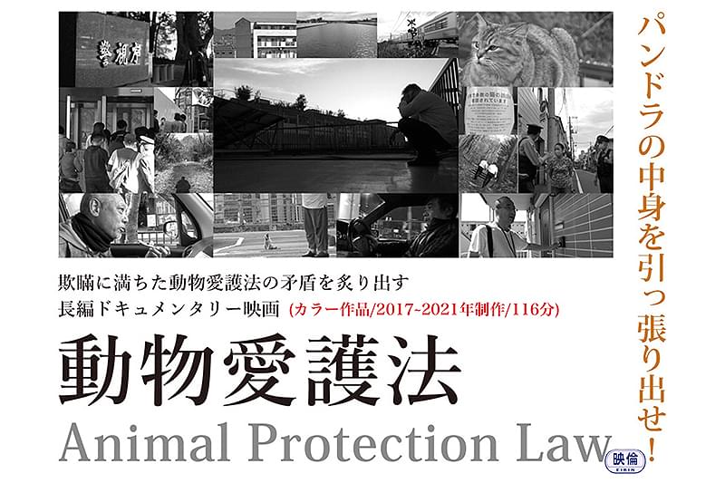 動物愛護法 : 作品情報・キャスト・あらすじ
