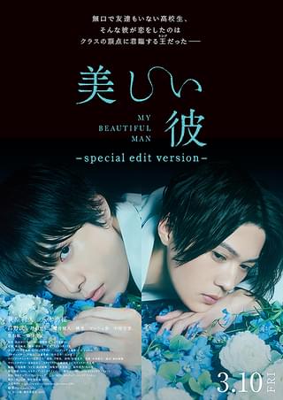 Blu-ray】美しい彼シーズン2\u0026special edit version - TVドラマ