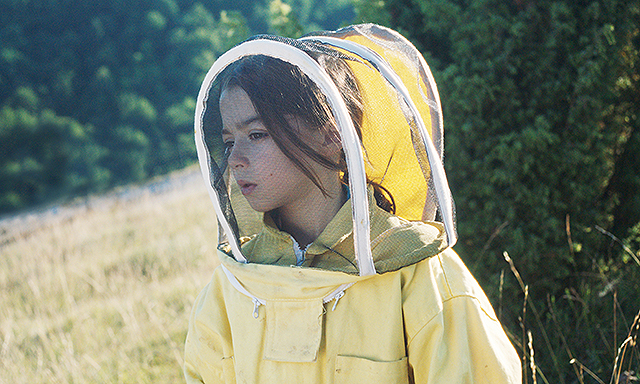 ソフィア・オテロの「ミツバチと私」の画像
