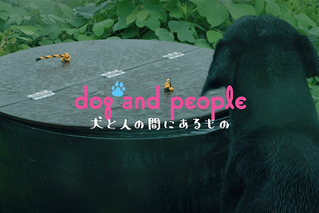 dog and people 犬と人の間にあるものの予告編・動画