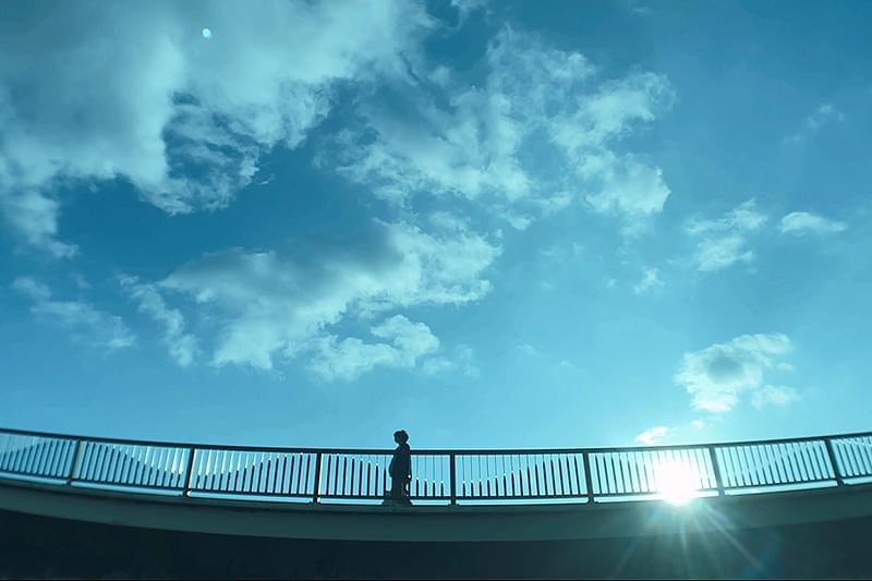 ぼくならいつもここだよ : 作品情報・キャスト・あらすじ・動画