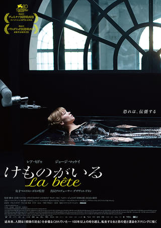 画像12