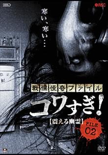 戦慄怪奇ファイル コワすぎ!FILE-02 震える幽霊
