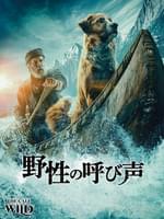 クルードさんちのはじめての冒険 作品情報 映画 Com