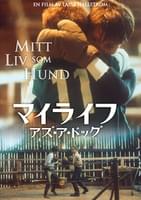 マイライフ・アズ・ア・ドッグ