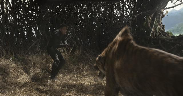 人類を排除するべく進化した猛獣がキタイを襲う