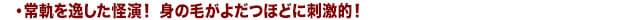 画像14