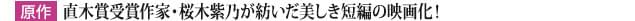 画像17