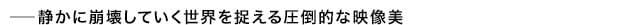 画像11