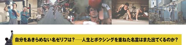 画像12