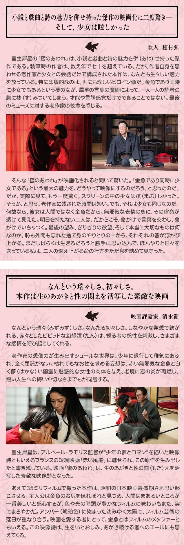 画像13