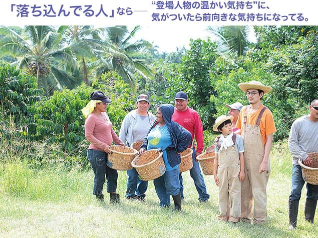 ハワイではコーヒー豆の収穫にもチャレンジ! 南国の人々は底抜けに明るい!
