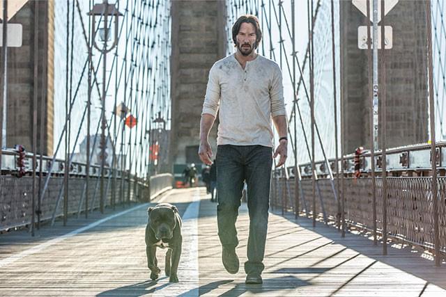 今作で登場する相棒は、ちょっとコワモテ! ジョン・ウィックの「愛犬」も気になる
