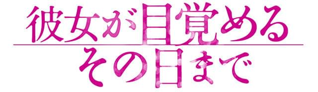 画像17