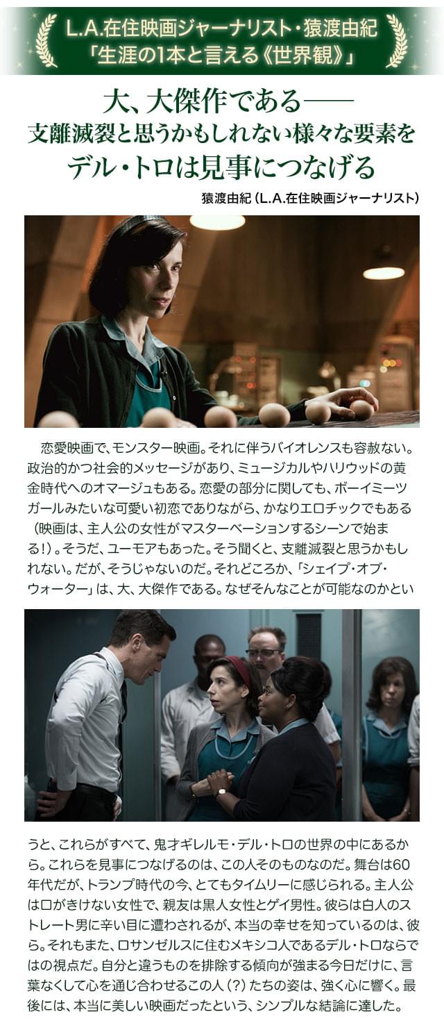 画像12