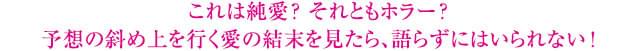 画像15