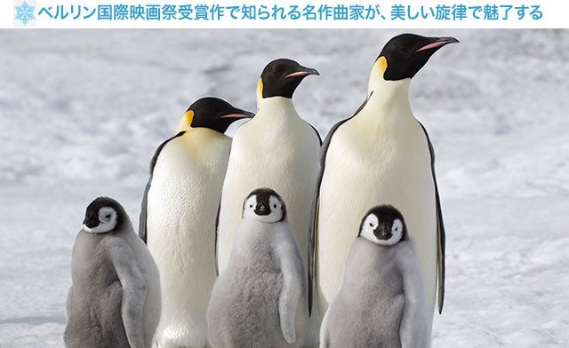 美しい風景と愛らしいペンギンたちのドラマが、名曲によってさらに際立つ