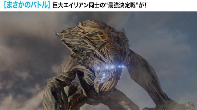 画像11