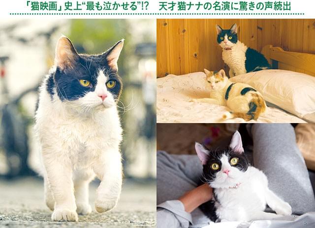 画像12
