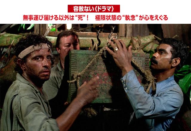 画像12
