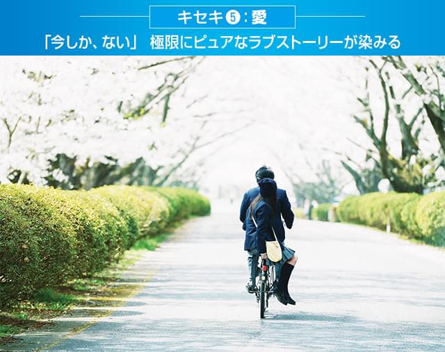 画像28