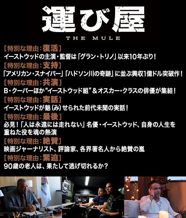 画像25