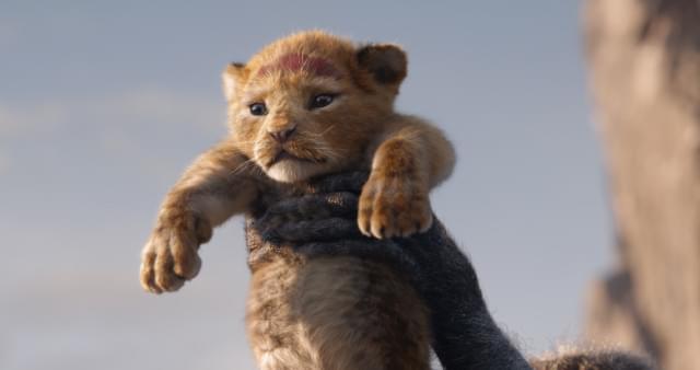 ミーアキャット 映画 Com