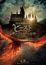 ファンタスティックビーストとダンブルドアの秘密パンフレット Amazon.co.jp: 【映画パンフレット】ファンタスティック