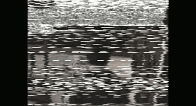 画像21