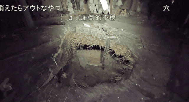 画像19