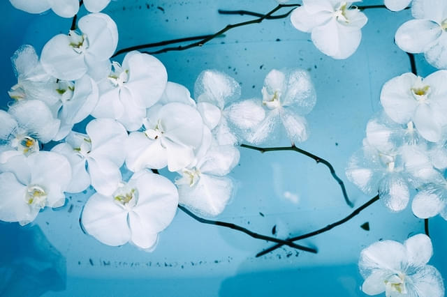 画像24