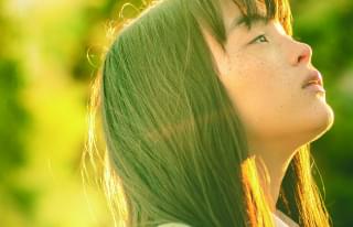 風の電話の注目特集